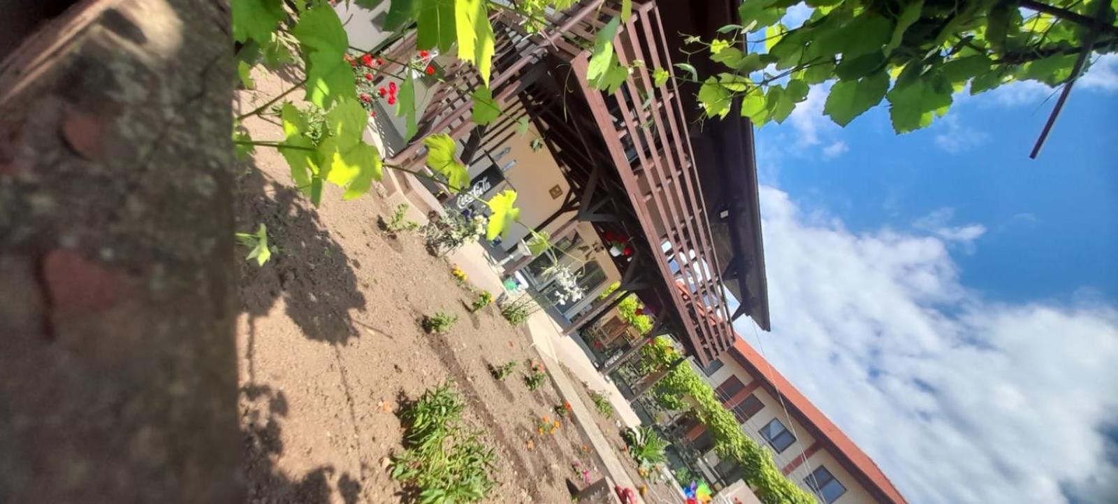 Casa Calin Apartman Vama Veche Kültér fotó