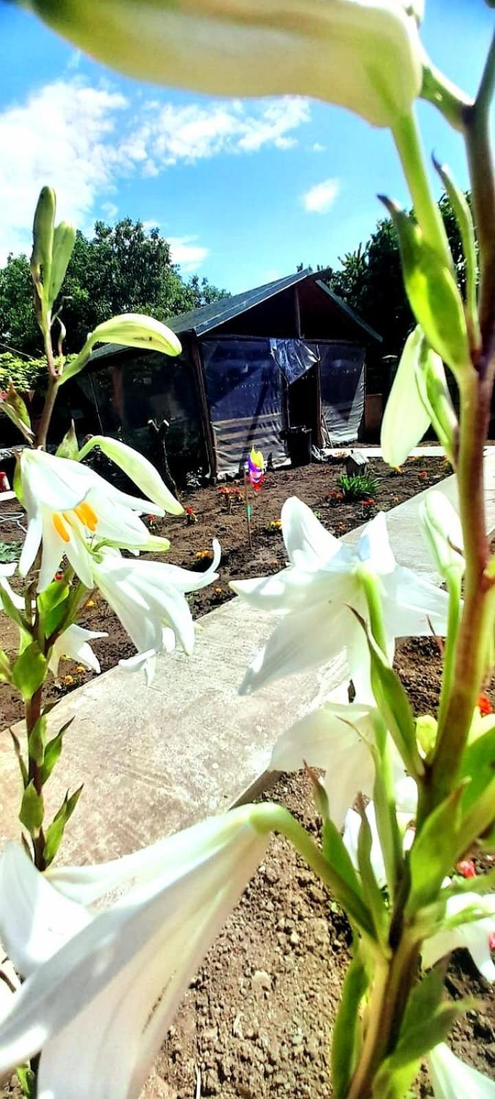 Casa Calin Apartman Vama Veche Kültér fotó